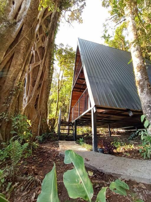 Casa Del Arbol Βίλα Monteverde Εξωτερικό φωτογραφία