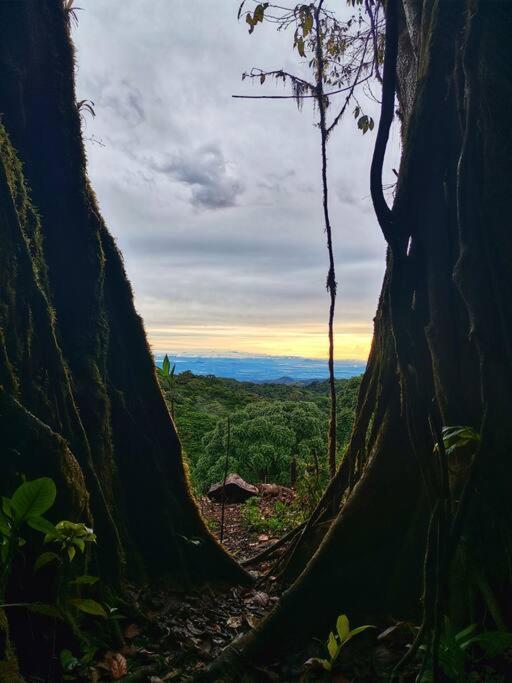 Casa Del Arbol Βίλα Monteverde Εξωτερικό φωτογραφία