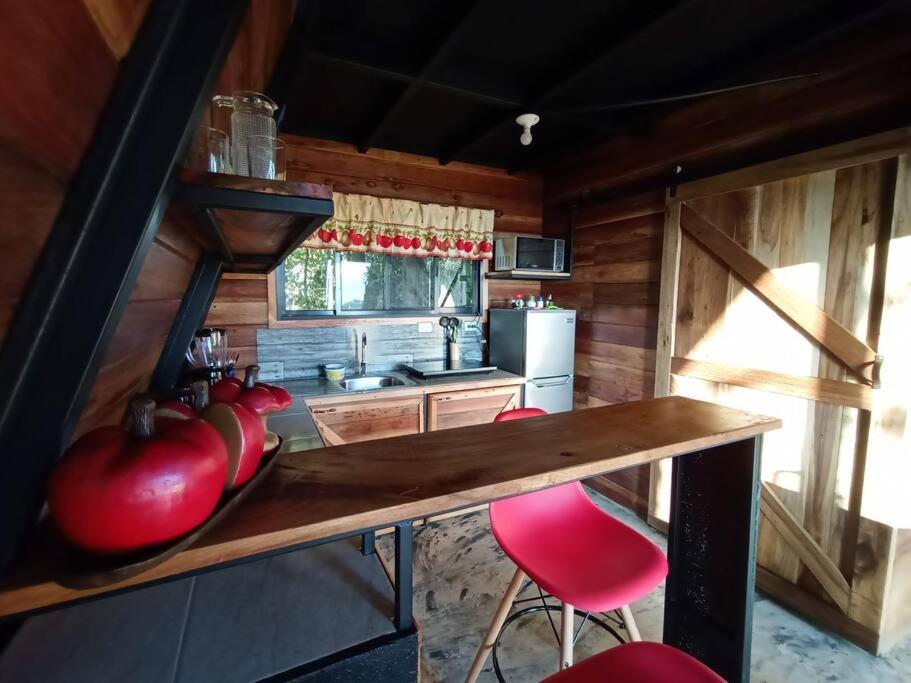 Casa Del Arbol Βίλα Monteverde Εξωτερικό φωτογραφία